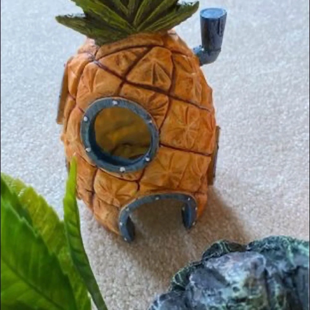 Fish tank decor